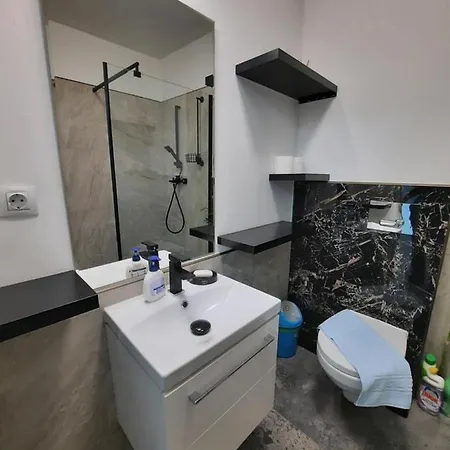 House Side By Side Apartment Brasov