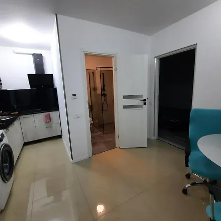 House Side By Side Apartment Brasov